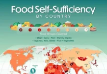 Гайана, США, Китай и Россия в мировом рейтинге продовольствия gajana ssha kitaj i rossiya v mirovom rejtinge prodovolstviya-politgolos-ru-0