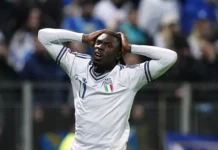 Италия без ЧМ-2022. Убытки FIGC и Adidas italiya bez chm2022 ubytki i -politgolos-ru-0