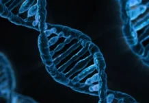 Пенсильванский университет создал ДНК-мемристор для энергохранения pensilvanskij universitet sozdal dnkmemristor dlya energohraneniya-politgolos-ru-0