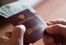 pensionnye strategii ot marii ermilovoj iz reu plehanova-politgolos-ru-0