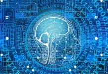 Шойтов и Минцифры обсудили новый этап регулирования ИИ в России shojtov i minczifry obsudili novyj etap regulirovaniya ii v rossii-politgolos-ru-0