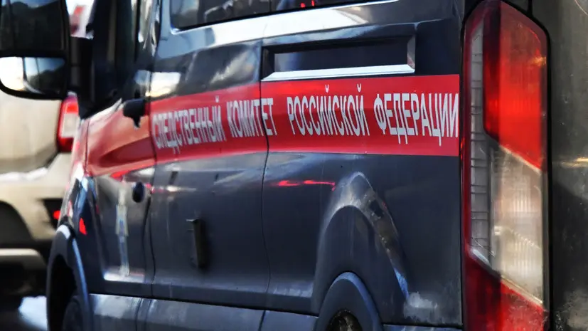 СК обнаружил в освобождённых населённых пунктах ДНР останки 74 мирных жителей