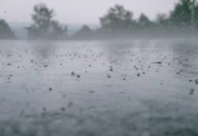 kak moskva i podmoskove vstretyat leto s elnino i klimatom-politgolos-ru-0
