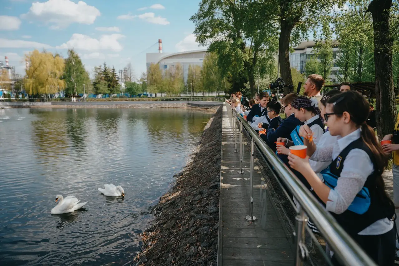 Семейство лебедей Московского НПЗ вернулось после зимовки в Капотне