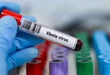 Оптимизм в ДР Конго – ВОЗ открывает центры лечения Эболы optimizm v dr kongo voz otkryvaet czentry lecheniya eboly-politgolos-ru-0