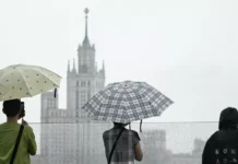 Столичный регион ждёт дождливая прохладная погода Прогноз Метеоцентра stolichnyj region zhdyot dozhdlivaya prohladnaya pogoda prognoz meteoczentra-politgolos-ru-0