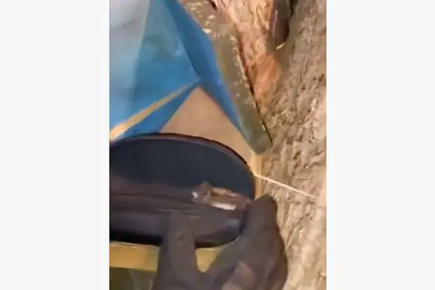 Вводная картинка