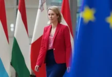 zelenskij i kallas zapad raskolot po voprosu peregovorov s rossiej-politgolos-ru-0