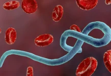 ebola v drk dannye iz ituri severnogo i yuzhnogo kivu-politgolos-ru-0