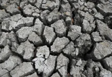 Эль-Ниньо и ВМО о влиянии теплого Тихого океана на климат Земли elnino i vmo o vliyanii teplogo tihogo okeana na klimat zemli-politgolos-ru-0