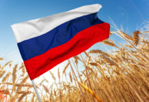 Russian flag on the background of nature