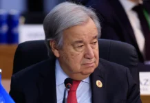 Шойгу оценил вклад Турции и ООН в зерновую инициативу shojgu oczenil vklad turczii i oon v zernovuyu inicziativu-politgolos-ru-0
