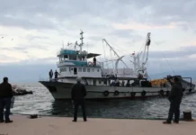 u sevastopolya inczident s  67 4 cheloveka raneno v chyornom more-politgolos-ru-0