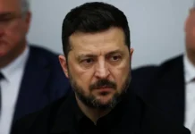 zelenskij legalizuet chestvovanie upa  spornyj zakon o panteone-politgolos-ru-0