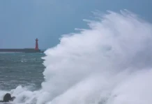 Российские туристы в Шанхае не пострадали от тайфуна Бави rossijskie turisty v shanhae ne postradali ot tajfuna bavi-politgolos-ru-0