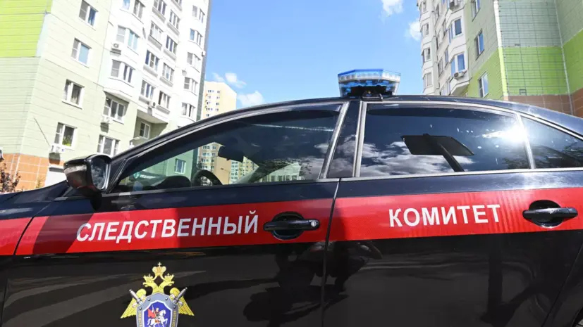 Памфилова сообщила о возбуждении в России 22 уголовных дел, связанных с выборами