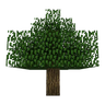 bulk-0071-01-181cd3f45d22.webp