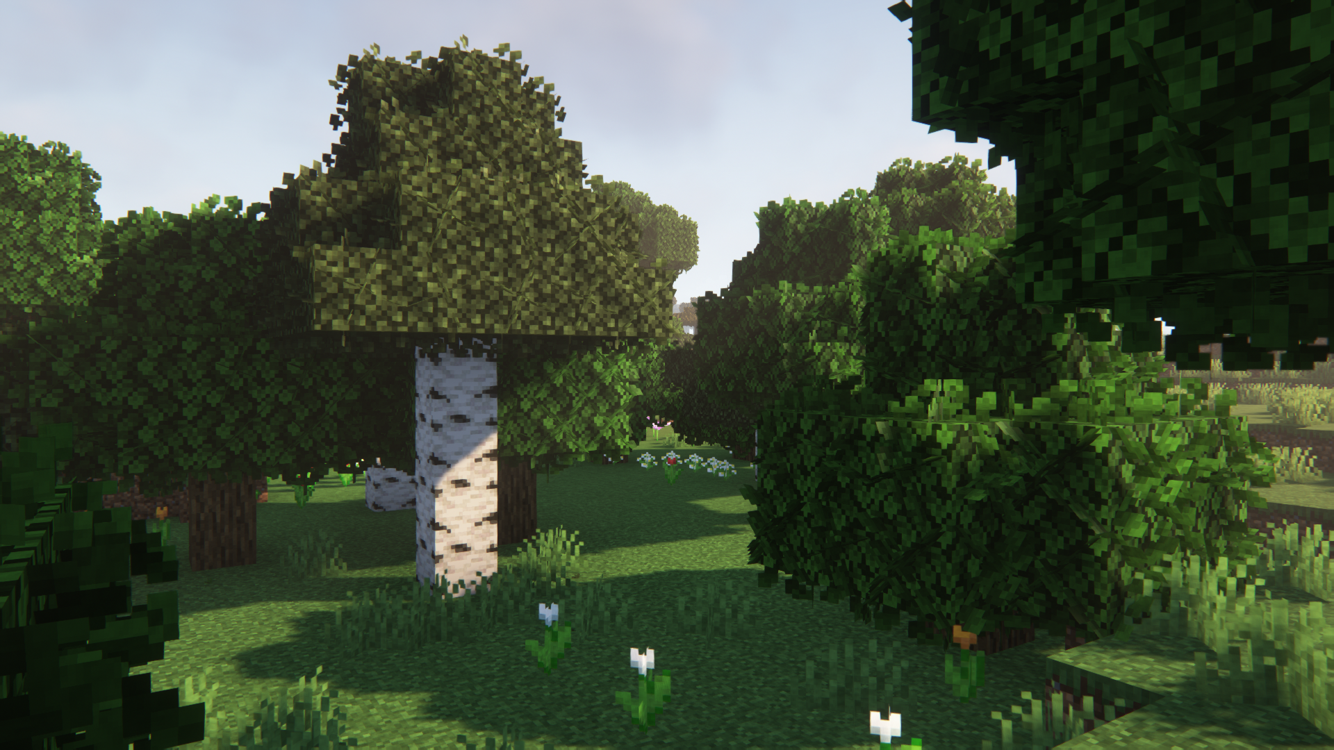 bulk-0738-01-8df48ee7b5a0.png