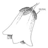 fast-0004-01-d406f76b4a80.webp
