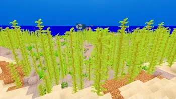 fast-0107-01-744abab50c7f.webp