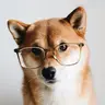 fast-0125-01-0249bb7b6e1d.webp