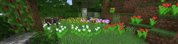 fast-0146-01-0ad16bb8a99a.webp
