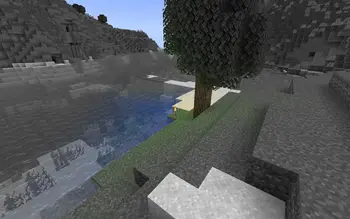 fast-1144-01-9f0607c06f19.webp
