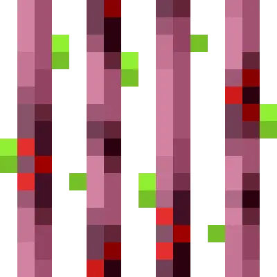 fast4d-0115-01-6e9ea9878175.webp