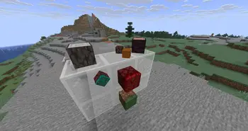 fast4d-0562-01-443d9ce868e2.webp