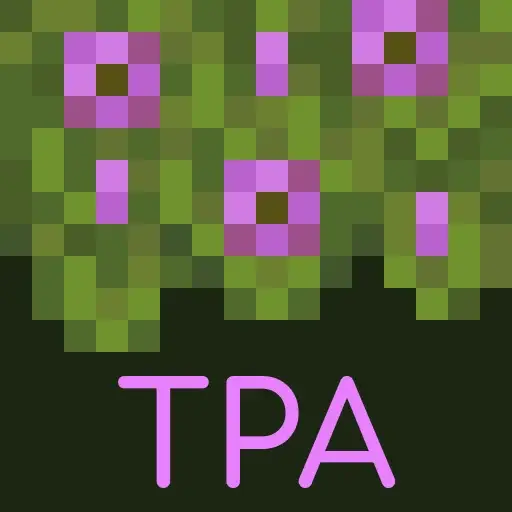 fast4d-0588-01-5bfef3052949.webp
