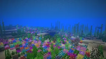 fast4d-1055-01-00744d4fb367.webp