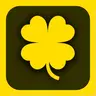 next315-0048-02-4d06291a8672.webp
