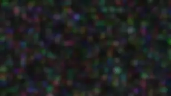 pro250-012-01-a0674a90b7eb.webp