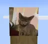 pro70-044-01-3340825c4e8a.webp