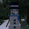 Cold Snap Horde [1.16.4]
