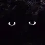 Inside the Darkness - Horror
