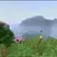 Shoggy shader