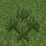 Bushy Vegetation