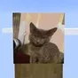 ImageMaps
