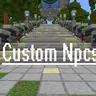 Custom NPCs