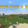 Raining Cats & Dogs - Животный дождь