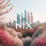 NixProject Crack 2.01