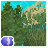 Os' Colorful Grasses