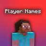 Player Names - мод на смену имён игроков