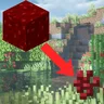 Nether Wart Blocks to Nether Warts