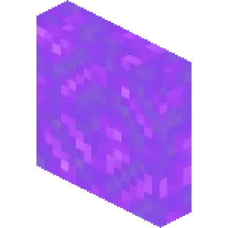 No Nether Portal Overlay