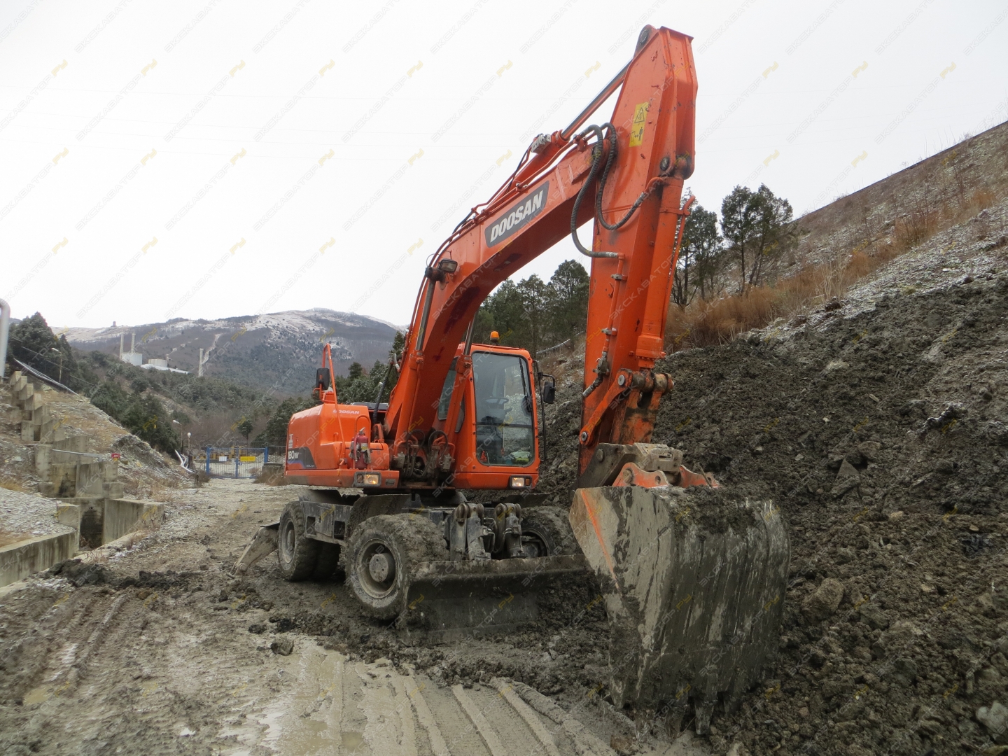 Аренда колесного экскаватора Doosan SOLAR L 180W-V