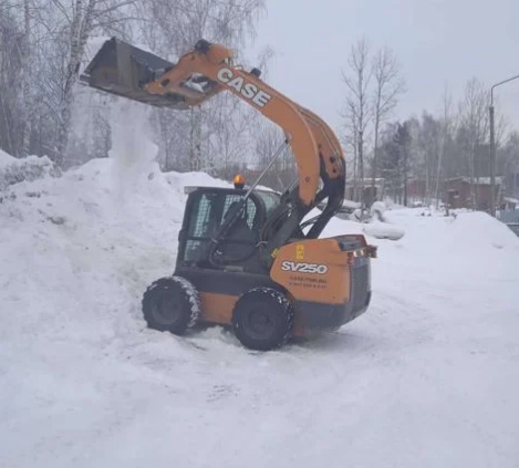 Основное изображение