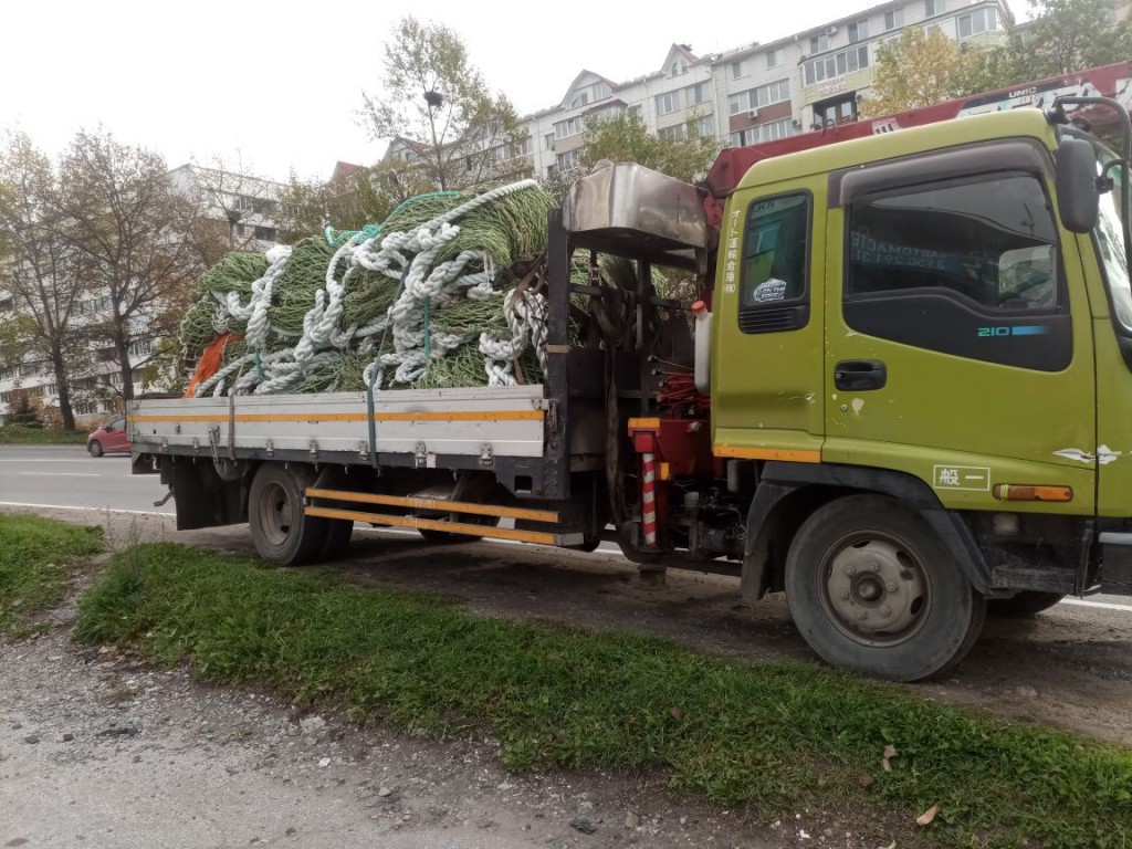 Основное изображение