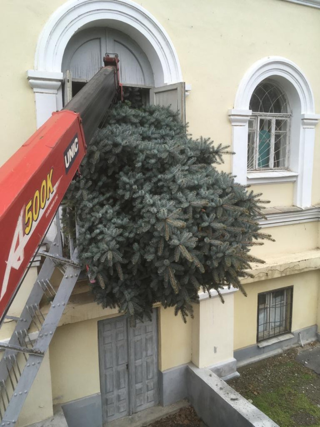 Изображение 3